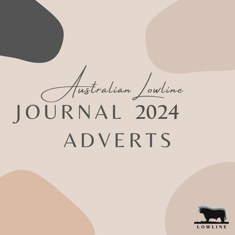 2024 Lowline Journal Advertisement