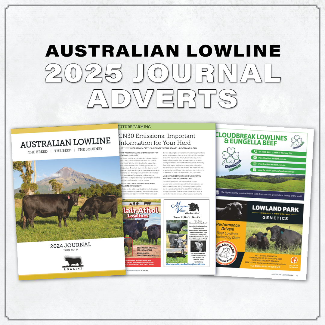 2025 Lowline Journal Advertisement