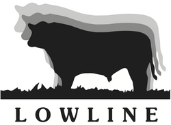 Australian Lowline Cattle Association Shop