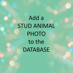 Add a Stud Animal Photo to Database