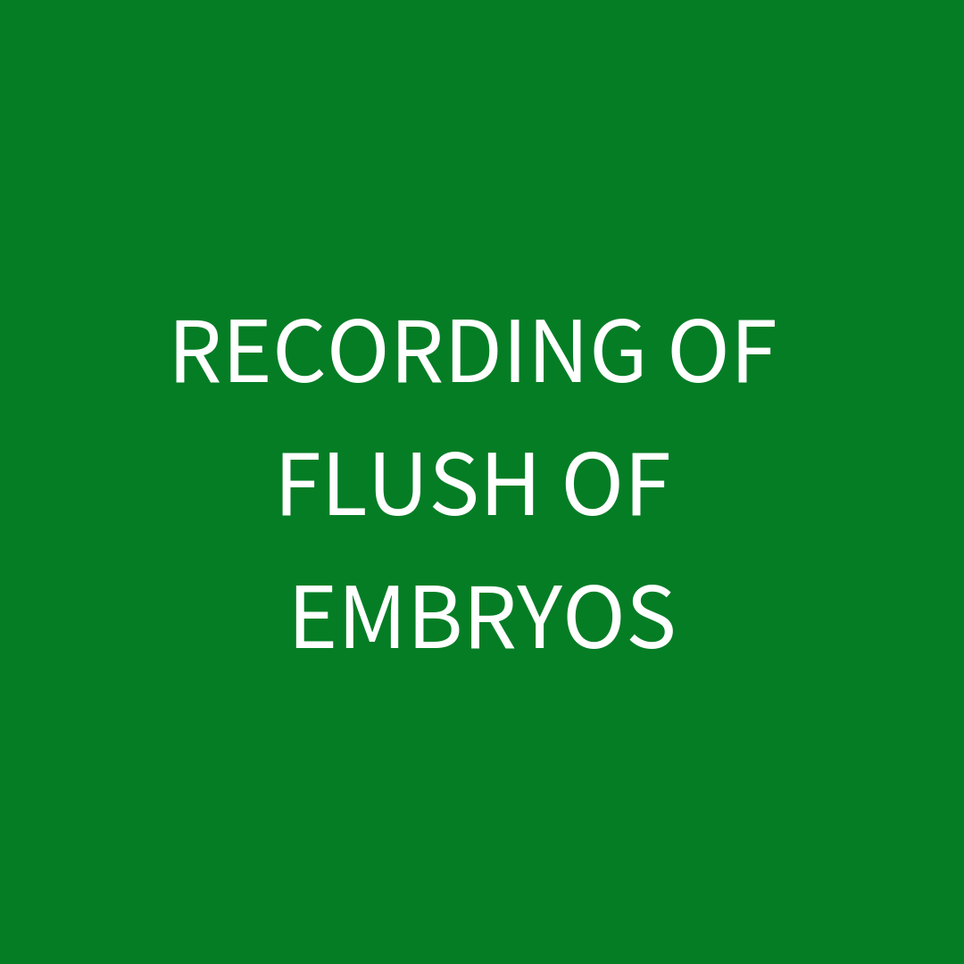 Recording of Flush of Embryos