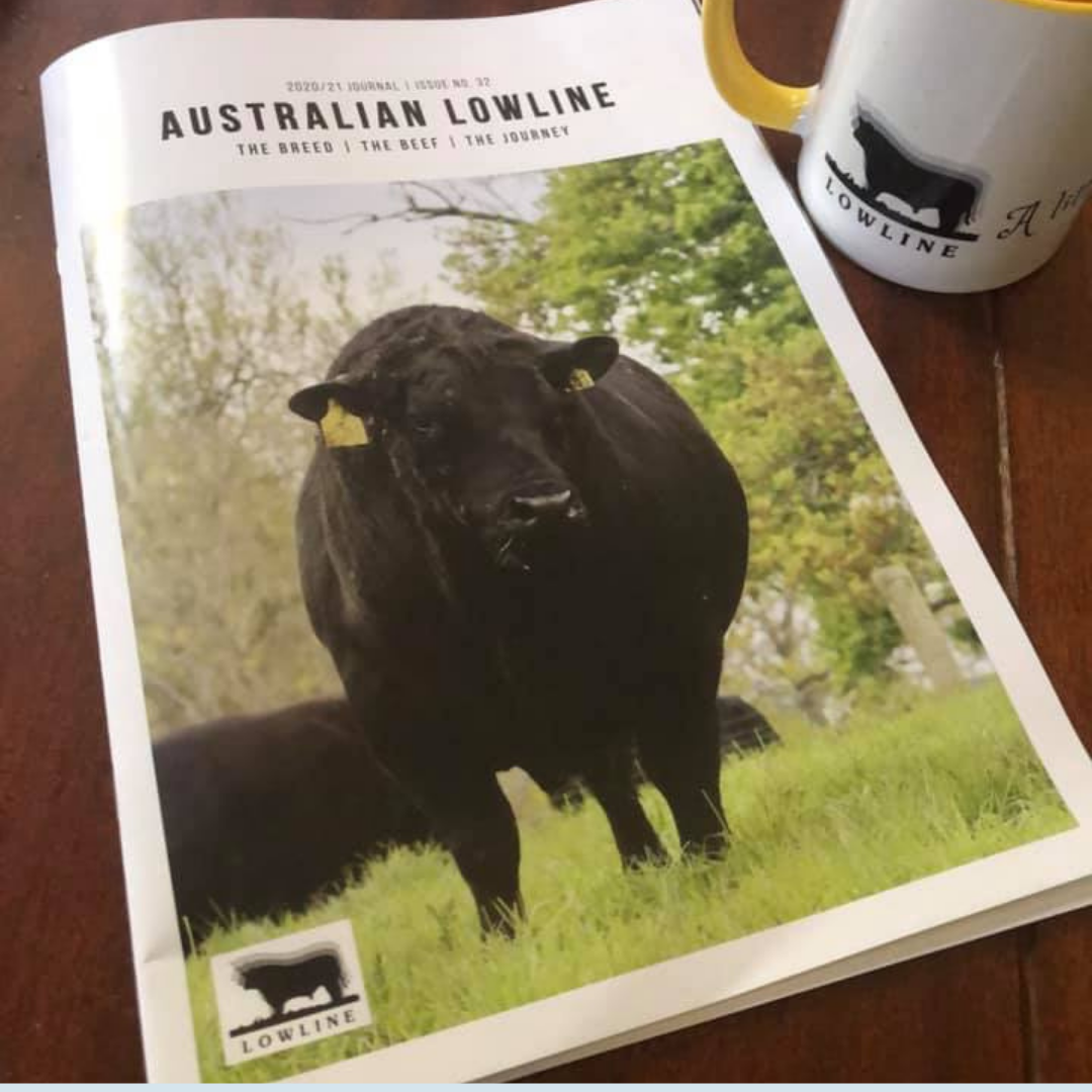 Australian Lowline - 2020/21 Journal